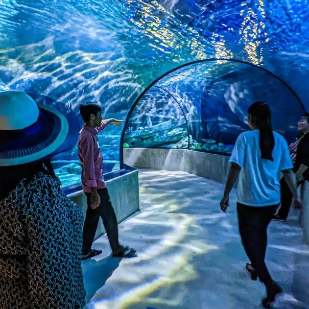 Siem Reap Aquarium Tour