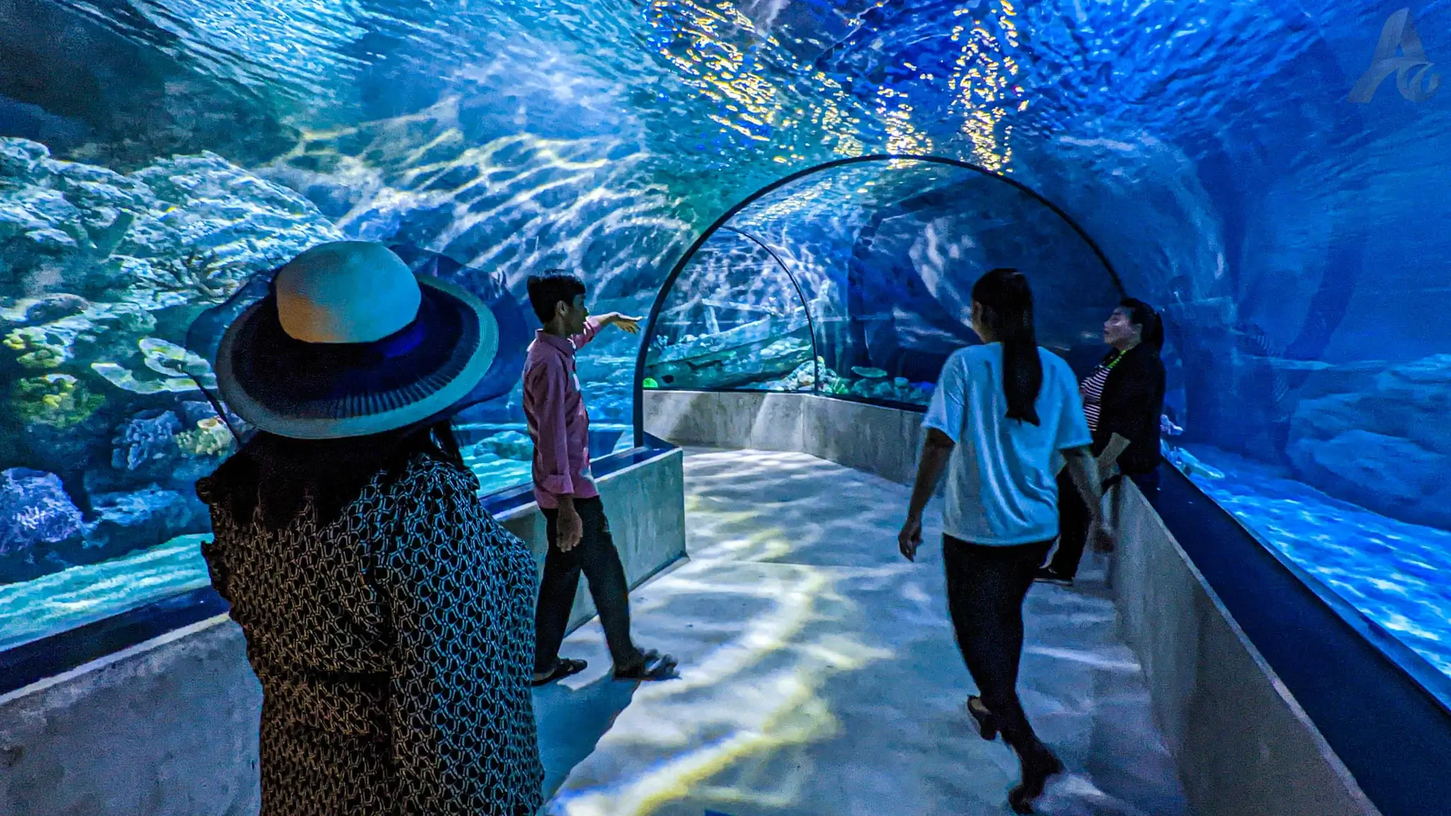 Siem Reap Aquarium Tour