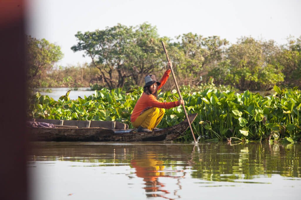 Rowing near the Flooded Forest